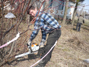 Культработник Олег Григорьев очищает кустарники от сухих веток